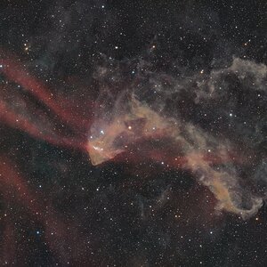LBN 437 / DG 187 - Gecko im Lacerta
