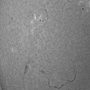 Sonne H alpha  Ostrand mir schwebender Protuberanz