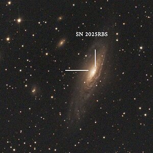 NGC_7331_SN 2025RBS.jpg