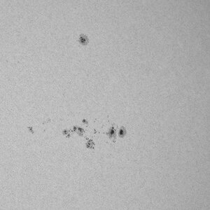 Fleckengruppen auf der Westhälfte der Sonne
