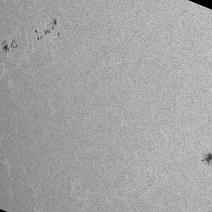 Fleckengruppen auf der Osthälfte der Sonne.