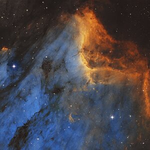 IC 5070, der Pelikannebel in SHO
