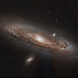 M 31