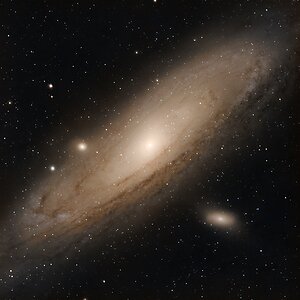 M31