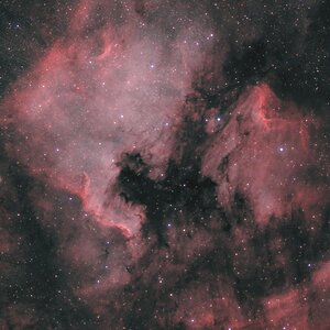 NGC7000 Nordamerikanebel mit 55mm Objektiv