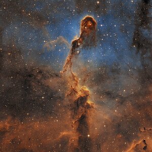 IC 1396A, Elefantenrüsselnebel in SHO