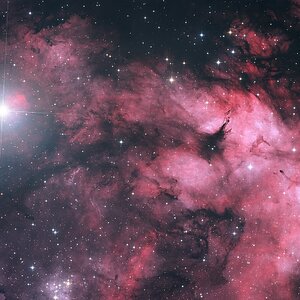 Sadr-Region, IC 1318, LDN 889