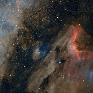 IC5070 Pelikan Nebel.jpg