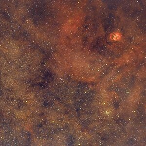 NGC6604