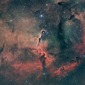 Elephant's Trunk Nebula