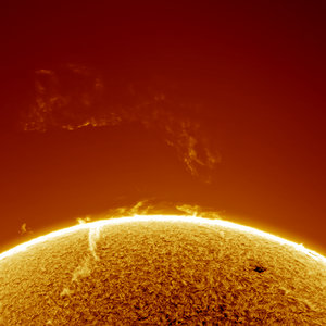 Sonne in Halpha - große Protuberanzen