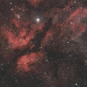 IC1318-Schmetterlingsnebel