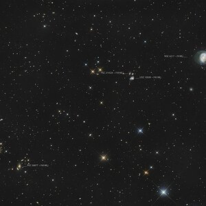 NGC 6217 (Arp 185) mit HCG 84