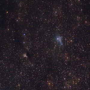 VdB 138, LDN 958