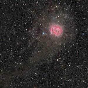 IC 5146, der Kokonnebel