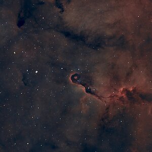 IC 1396A - Elefantenrüsselnebel