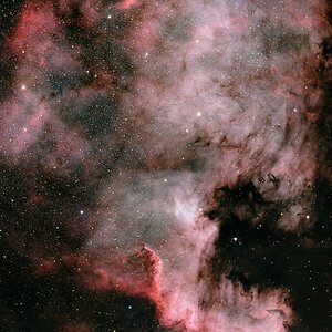 NGC7000_Nordamerika Nebel.jpg