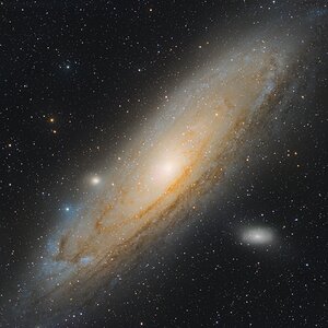 Andromeda Galaxie Norddeutschland Mitte August