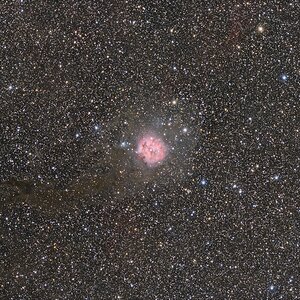 IC5146_24082025_APM_drizzle_10Std.jpg