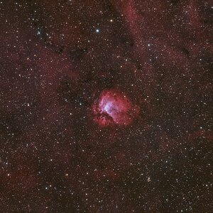 SH2-112 - Der kleine schwarze Drache