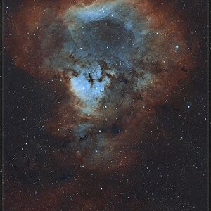 Sh2-171 / sh2-170 (NGC7822)