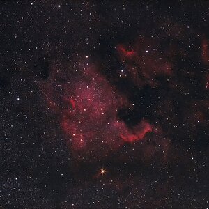 NGC 7000