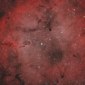 IC 1396 mit Selbstbau Mininewton