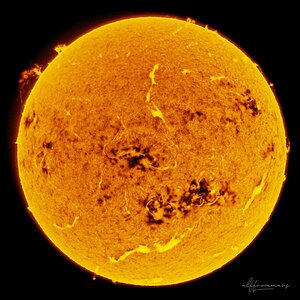 Sonne in H-alpha ... 31.08.2025