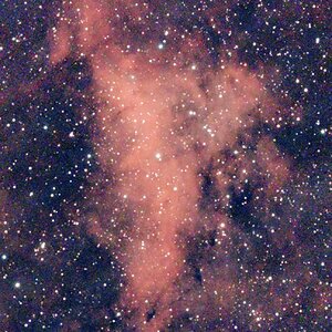 IC1318 A