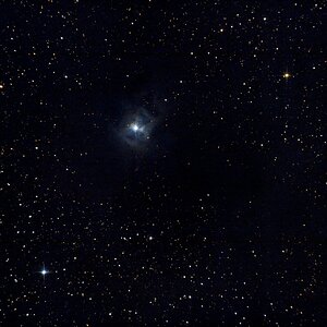 NGC7023 Caldwell4 Iris Nebel
