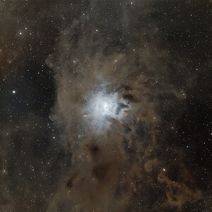 NGC7023 - Iris Nebel