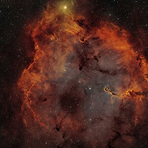 IC1396 - Elefantenrüssel-Nebel