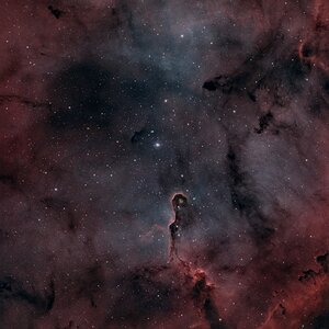 Ic 1396a elephantenrüssel
