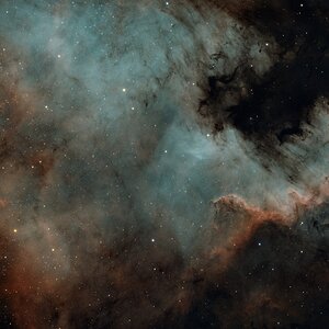 Ngc 7000