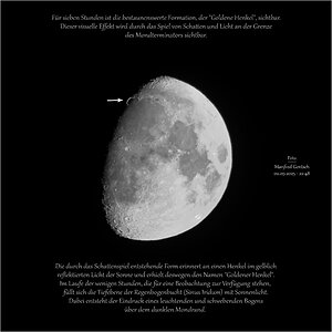 Mond - Goldener Henkel (s/w)