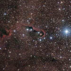 elephant_IC1396_crop