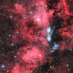 NGC 6914, Reflektionsnebel im Schwan