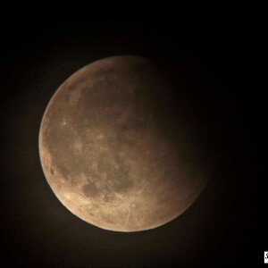 IMG_0462_4 MF HS.jpg