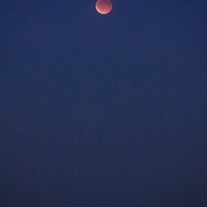 Die totale Mondfinsternis vom 7. September 2025.