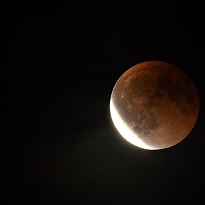 IMG_6664.jpg
