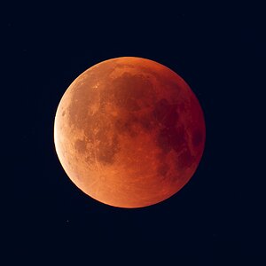 0S7A6669-2.jpg
