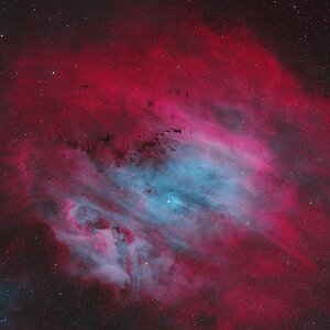 Die Kosmische Muschelschale: SH2-119