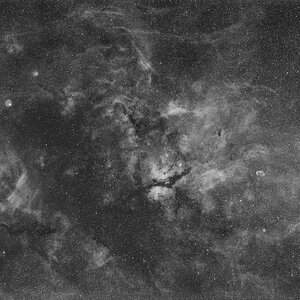 Region um Deneb und Sadr in Ha