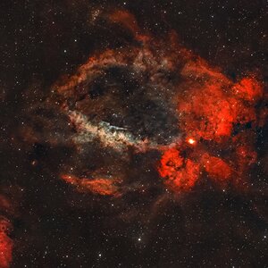 SH2 - 157   Hummerscherennebel.jpg