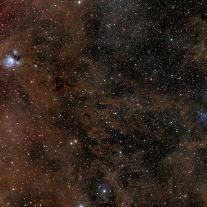 NGC 7129 and the surrounding dust
