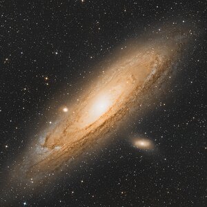 M31
