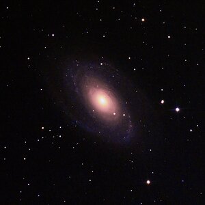 M81 Bodes Galaxie