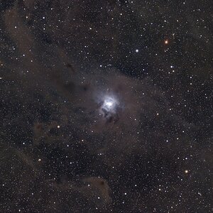 Der Irisnebel NGC 7023