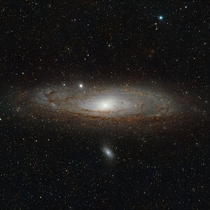 M 31