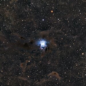 NGC 7023 Iris Nebel